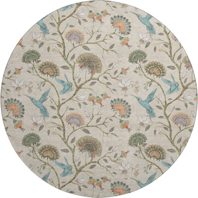 Cerrito Premium Machine Washable Cerrito AMF174 Beige Rug
