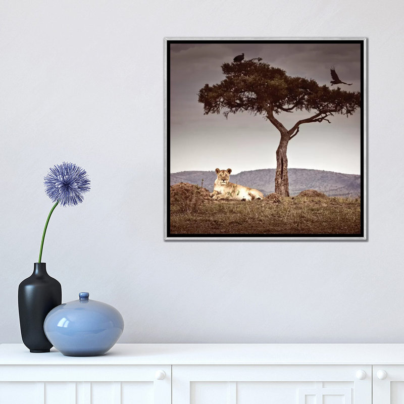 « Choc label point » par Kim Haskins-reproduction d’art, Pas de tapis, H 18 po x l 18 po x 1,5 po, Toile tendue