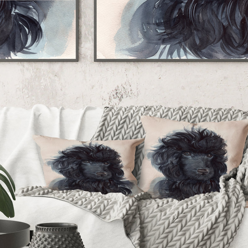 Portrait Of The Black Poodle Puppy With Curly Coat - Traditional Printed Throw Pillow, 16" x 16"