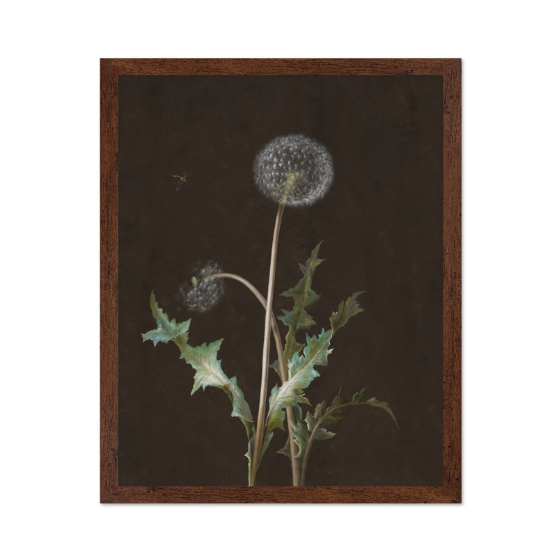 Pissenlit, Affiche, H 08 po x l 10 po, Encadrement brun