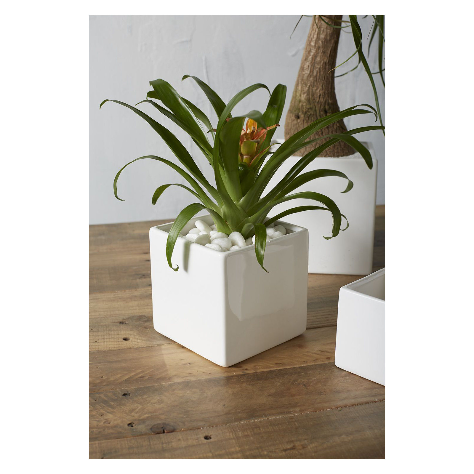 Demetria Ceramic Pot Planter, White, 4.75" H x 4.75" W x 4.75" D