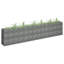 Jardinière surélevée Gabion-179364294