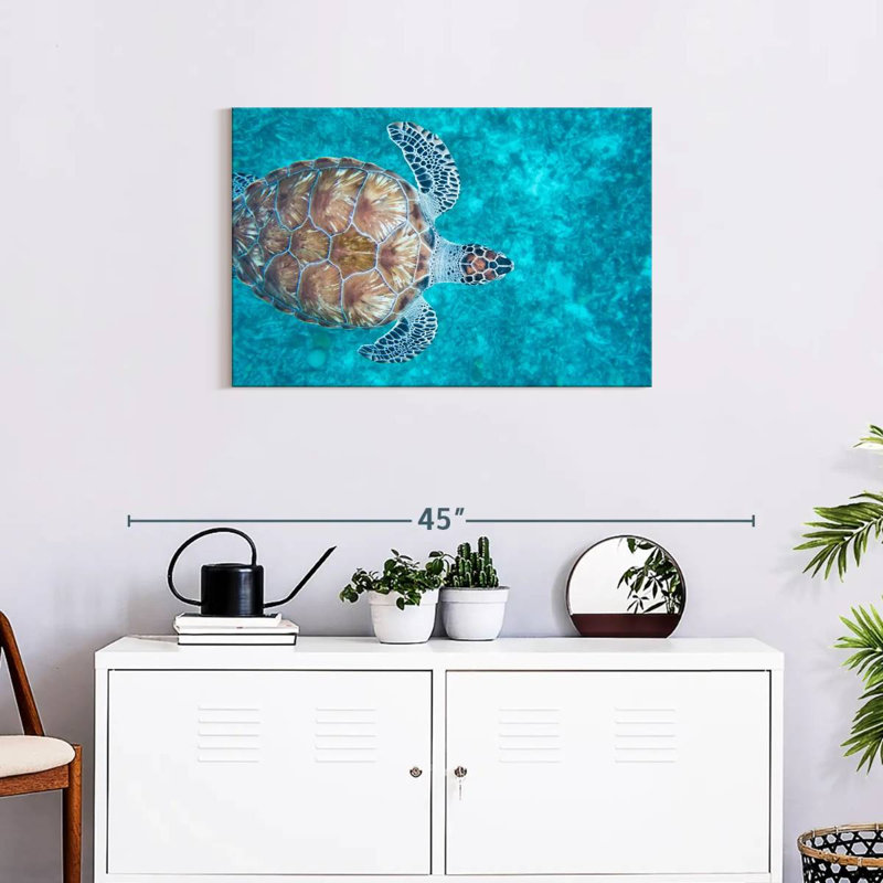 Swimming Hawksbill Sea Turtle, 20" H x 30" W
