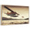 Float Planes