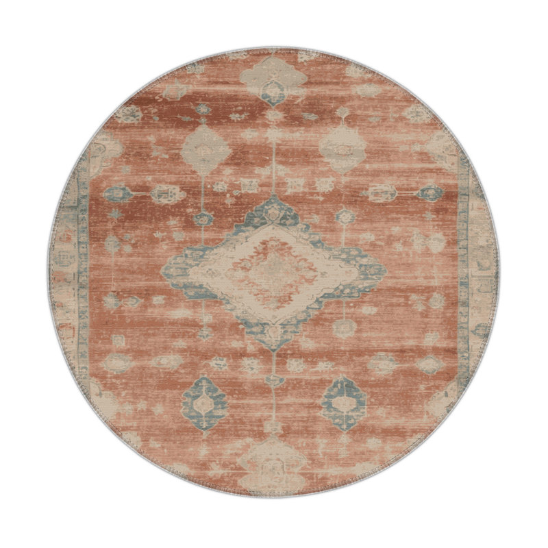 Tapis intérieur et extérieur brun Overdyed, Rond 5 pi
