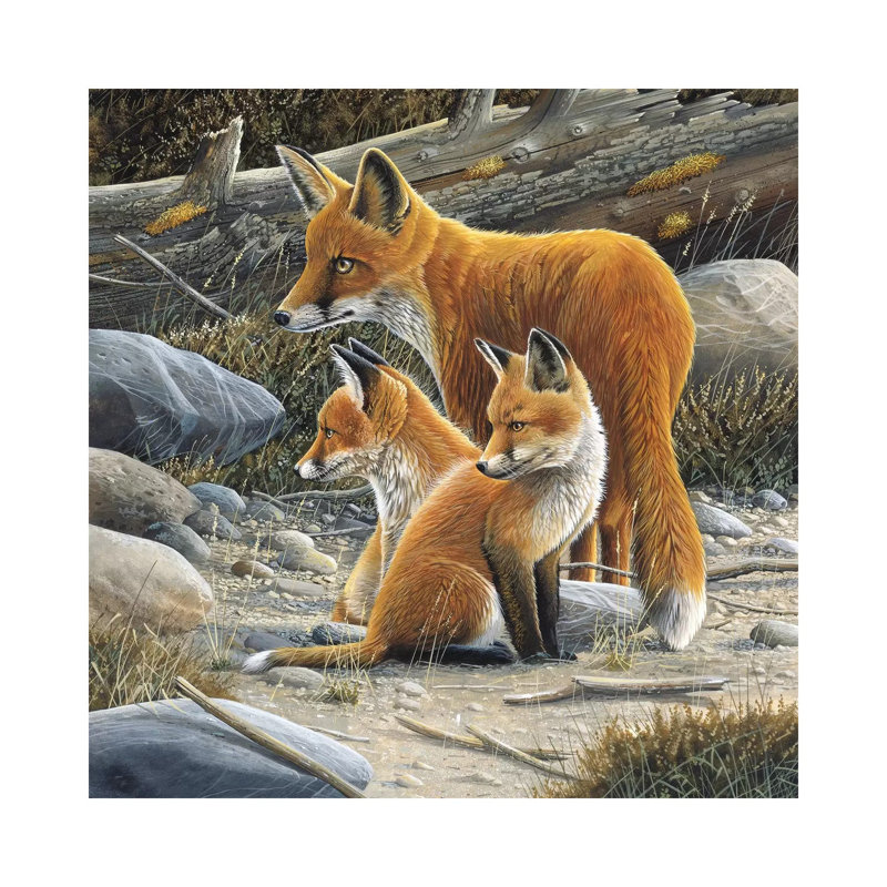 Fox Family by Jan Weenink - Wrapped Canvas Painting, 30.48 cm H x 30.48 cm W
