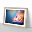 Pink Snapper Fish - Picture Frame Painting Print-55584078-55584081