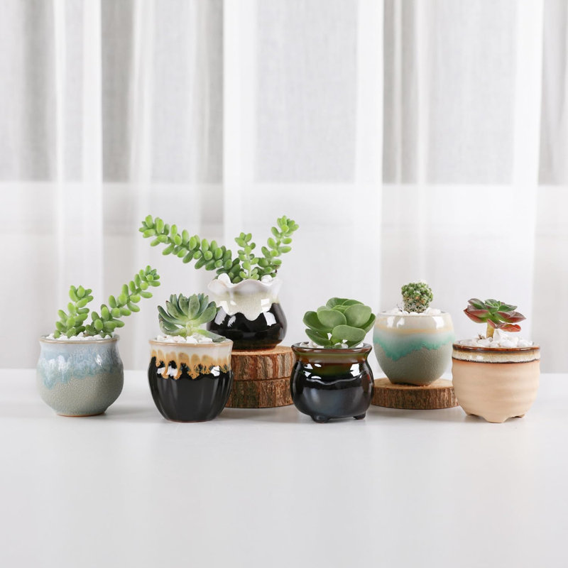 Mini pots de plantes grasses en céramique avec drainage, ensemble de 6