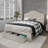 Jabrien Upholstered Panel Storage Bed-884476521-884476522