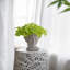 Jardinière en ciment de style grec - Décoration de jardin intérieur et extérieur, P 7 po x 11 po