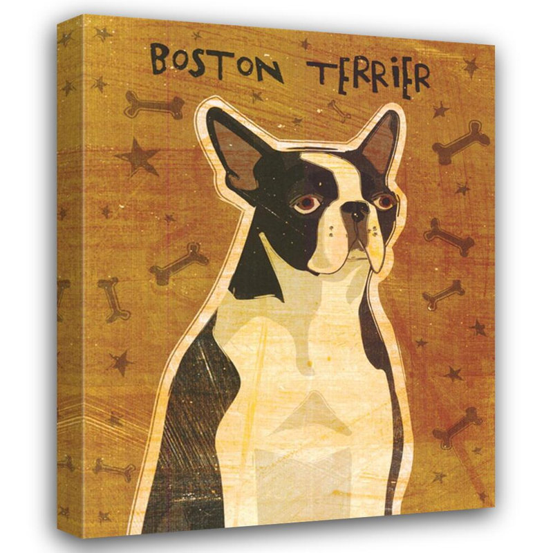 Boston Terrier MCG-G979PF, H 24 po x l 19 po