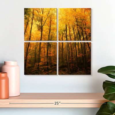 Forêt d'Alvord en automne