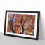 Maple Tree Vol.2 - Framed Print-62753421-62753423