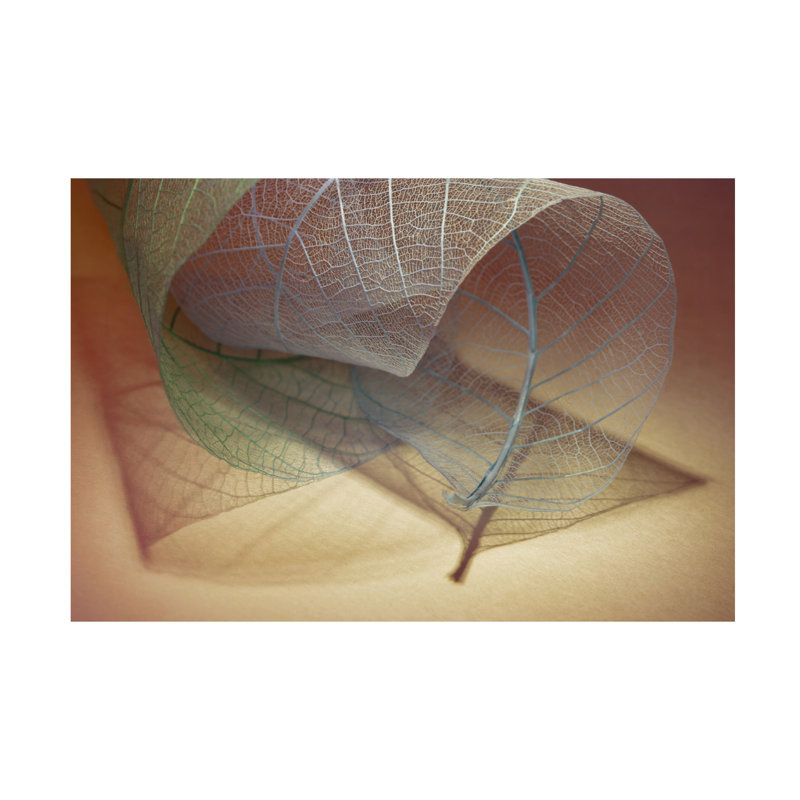 Art sur toile Shihya Kowatari Whirl, H 16 po x l 24 po