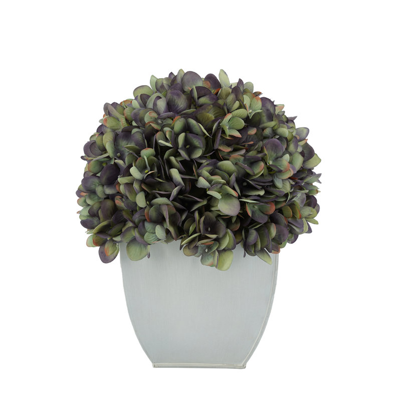 Arrangements floraux d'hortensias en pot, Mauve antique