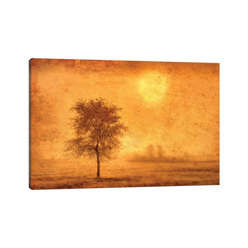 Canada. Tree In Fog At Sunrise. by Jaynes Gallery - Wrapped Canvas Gallery-Wrapped Canvas Giclée, 101.6 cm H x 66.04 cm W