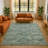 Premium Machine Washable Alaina AMF1929 Global Rug-1150469249