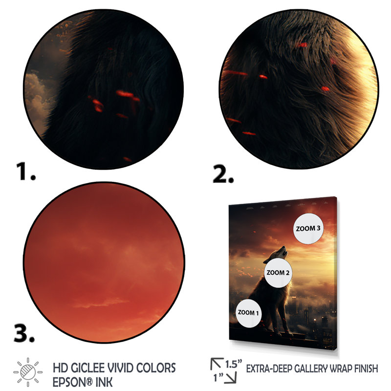 Loup jaune hurlant au coucher du soleil - loup, art mural, Cadre flottant blanc, H 40 po x l 30 po