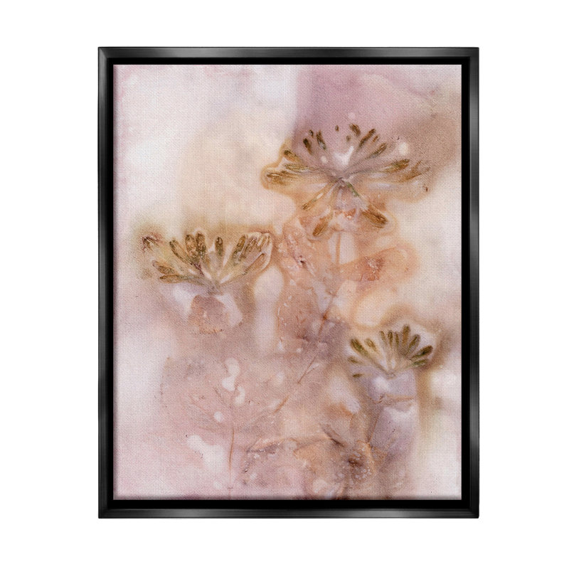 «Abstract Botanical Seeds» par Pernille Folcarelli sur toile, Cadre flottant noir de jais, H 31 po x l 25 po