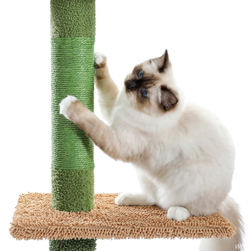 Tisbury 90.2'' H Cat Tree, Green