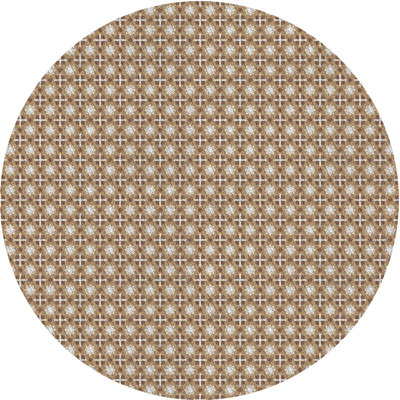 Indoor Rug