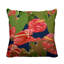 Housse et insert de coussin extérieur Clive-56188019-56188020