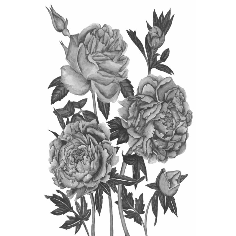 Flowers In Grey VI by Melissa Wang - Wrapped Canvas Print, 46cm H x 30cm W