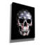 Art mural sur toile, "American Skull" par Nicklas Gustafsson-16517887