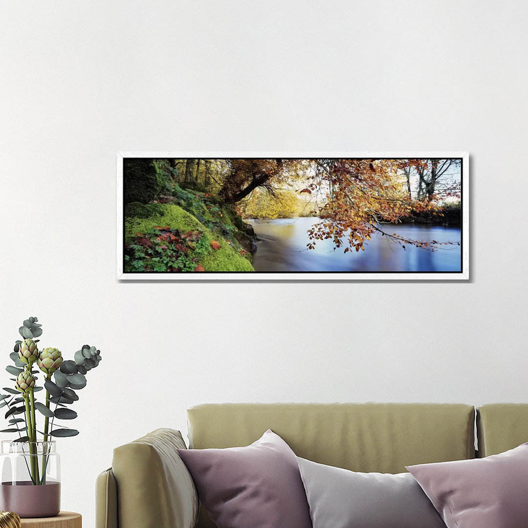 Trees Along A RiverRiver Dart, Bickleigh, Mid Devon, Devon, England von Panoramic Images - Floater Frame Panoramic Galle...