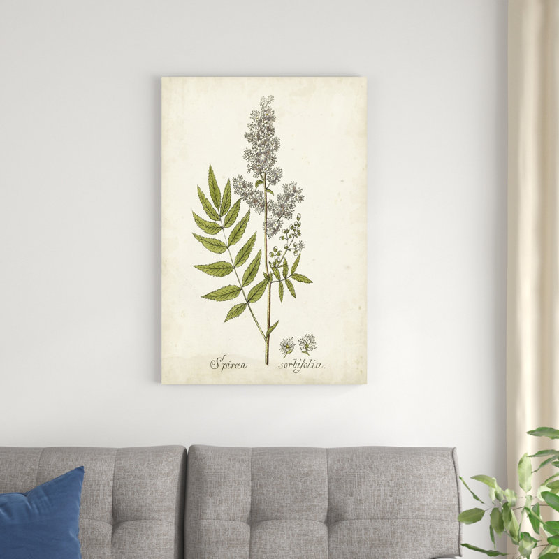 Herbe antique botanique III, H 36 po x l 24 po