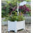 Wille Elevated Planter
