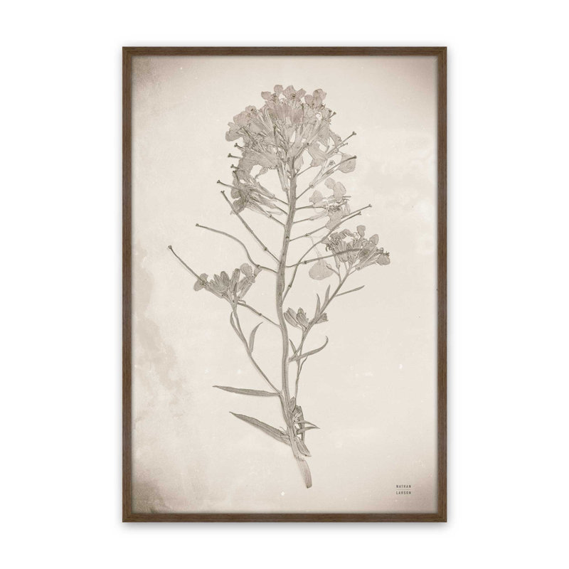 «Wildflower Journal Vintage I» par Nathan Larson, reproduction d'art, H 48 po x l 32 po, Brun
