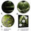 Bouddhisme vert, arbre Bodhi I - impressions d'art mural en métal bouddhisme-1956838351