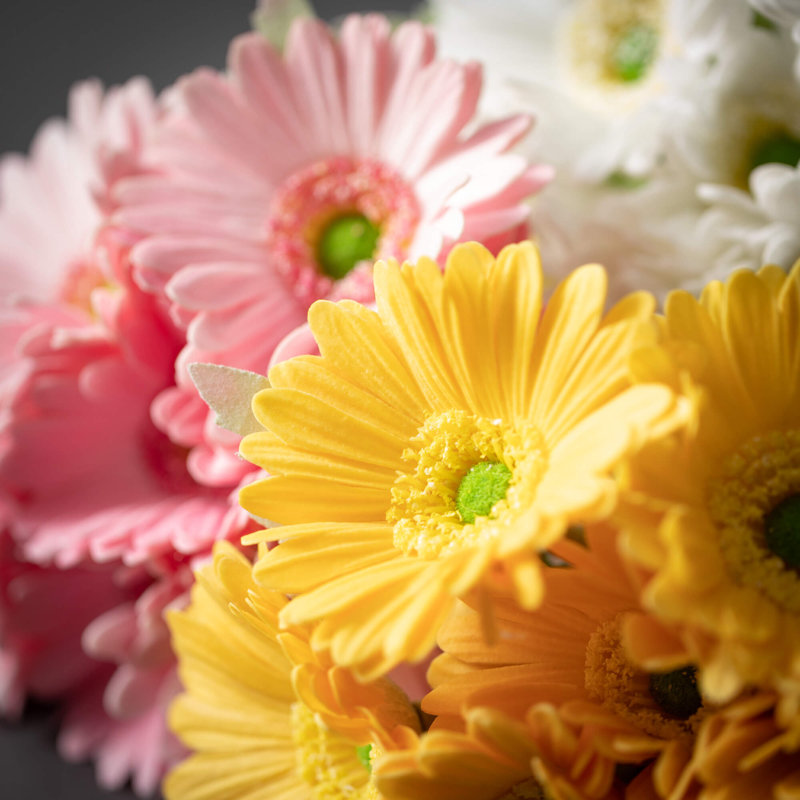 Ensemble de 3 marguerites artificielles 13 po