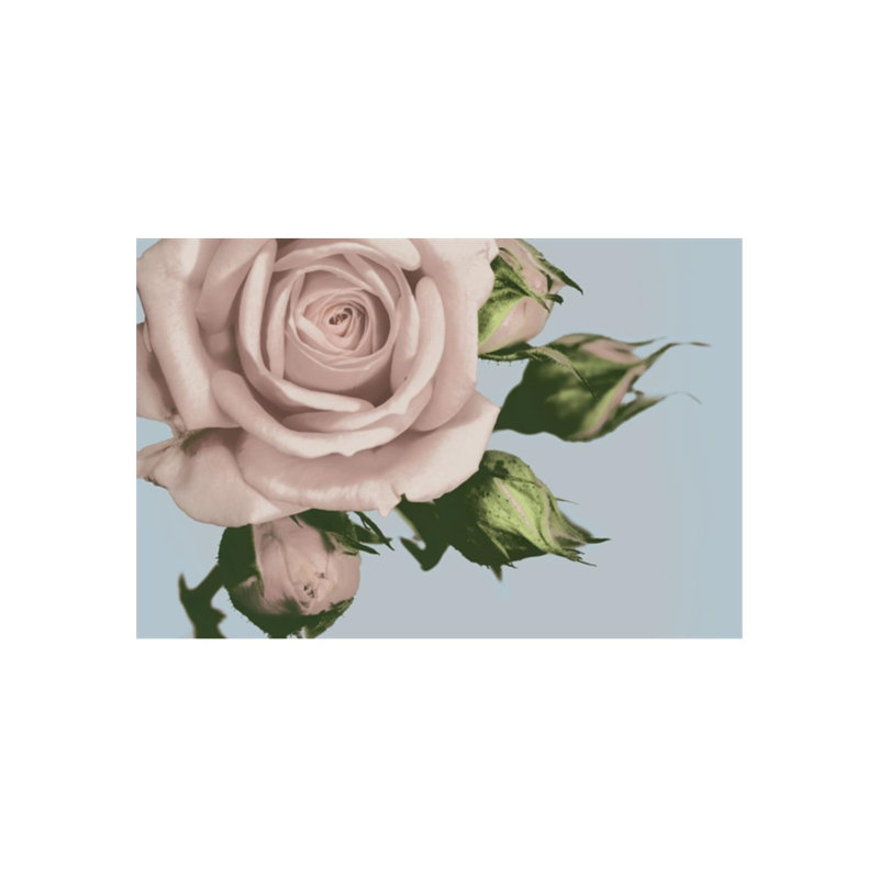 «Vintage Florals A» par Austin Beiv - impression, Extérieur, H 40 po x l 60 po x P 1,5 po