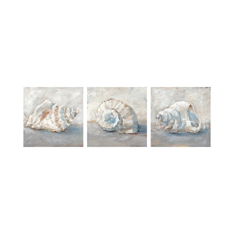 «Blue Shell Study Triptych», ensemble d'art mural sur toile tendue (ensemble de 3)