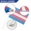 Paquet de 12 mini-drapeaux Anley Transgender