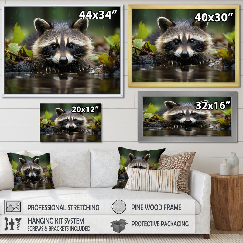 Curious Raccoon I - Animals Canvas Prints, H 12 po x l 20 po x P 1 po, Cadre flottant doré