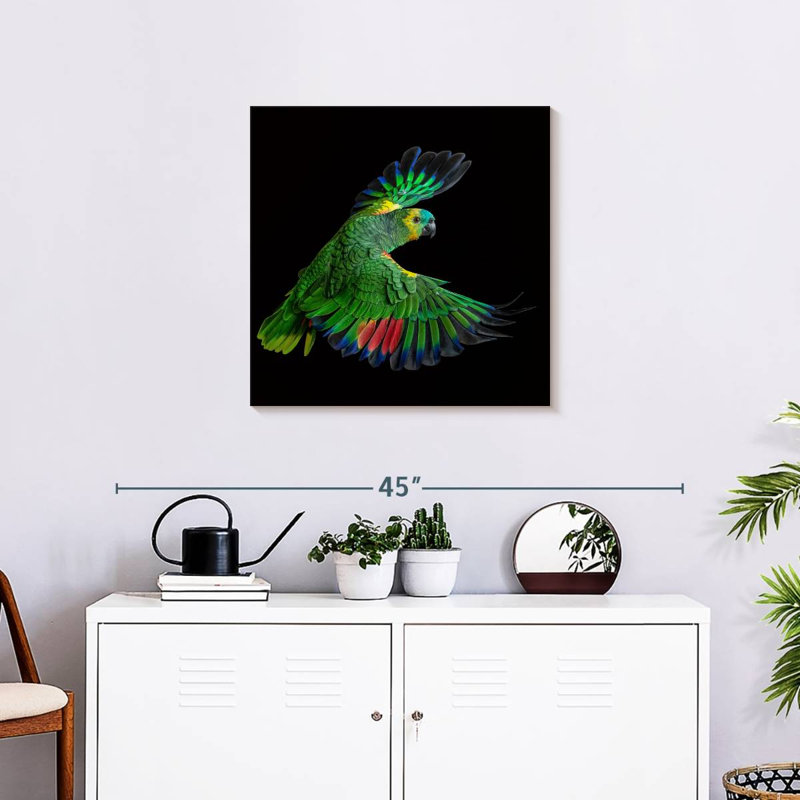 Brampt Flying Parrot, 24" H x 24" W