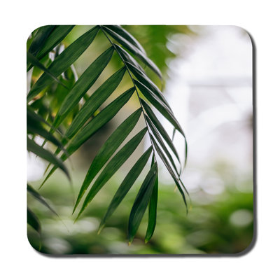 Dovan Square 6 Piece Coaster Set