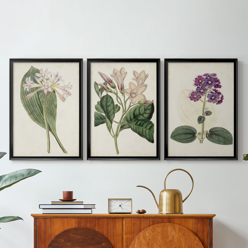 Antique Botanical Collection IV - Toile tendue avec châssis sur mesure - 3 pièces, H 15 po x l 19 po