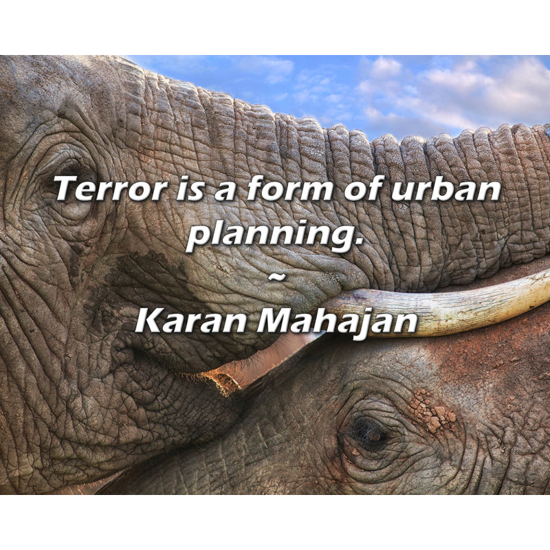 Karan Mahajan Citation: La terreur est une forme de planification urbaine.
