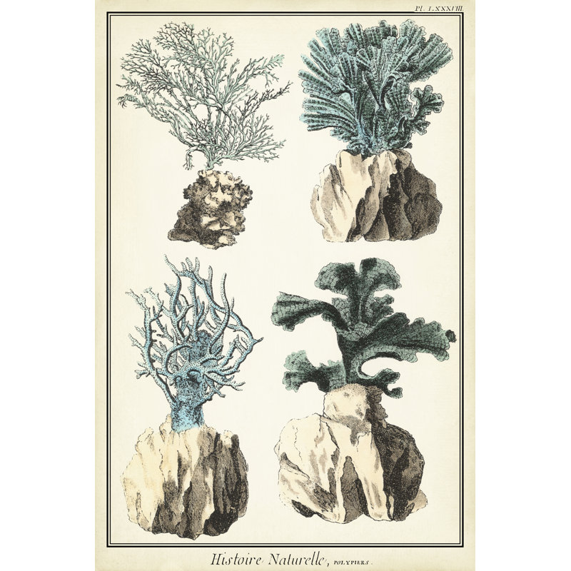 Corail, espèce III, H 48 po x l 32 po x P 1,25 po