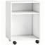 55.5cm H x 40cm W Printer Stand