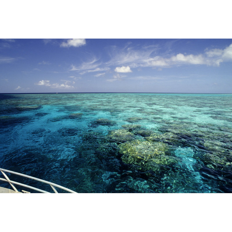 Reef Ride - Wrapped Canvas Print, 20cm H x 30cm W x 3.8cm D