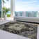 Machine Washable Indoor/Outdoor Chayden ACN1036 Rug