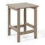 Lucus Weather Resistant Poly Adirondack Chair with Side Table-997349941