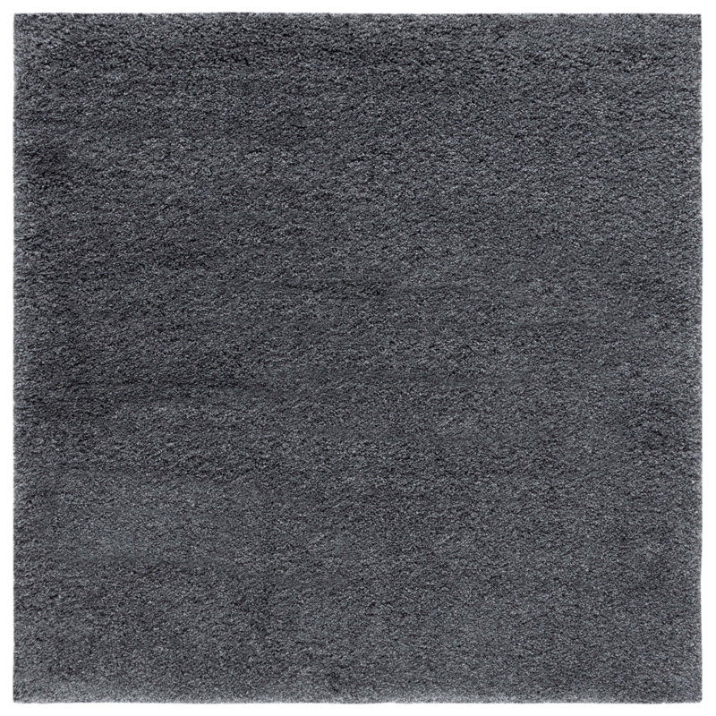 Delane Dark Gray Area Rug, Square 6'7"