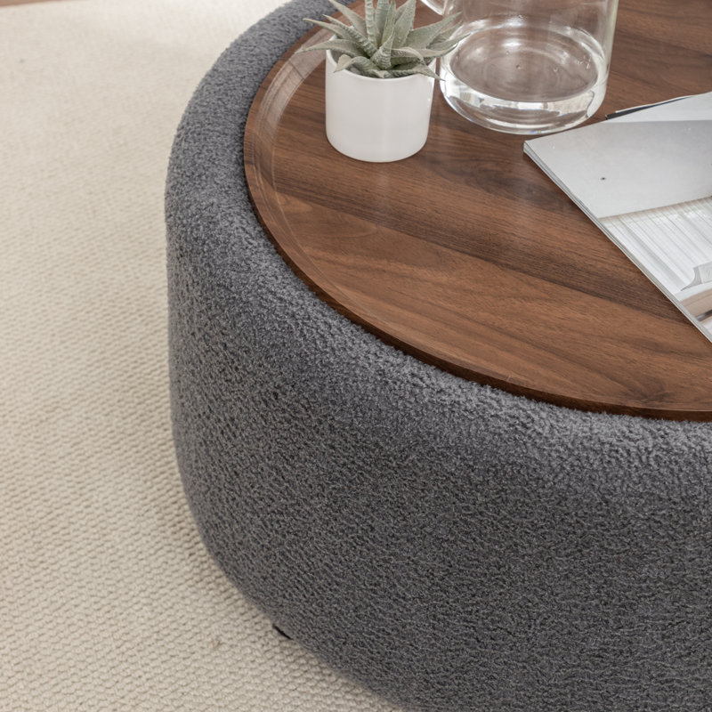 Pietsch Round Coffee Table with Storage