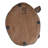 Black Rhinoceros Trophy Wall Sculpture